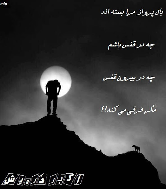 بال پرواز مرا بسته اند