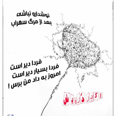 نوش دارو نباش
