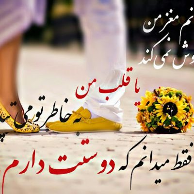 فقط می دانم که دوستت دارم