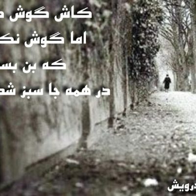 کاش گوش کنی