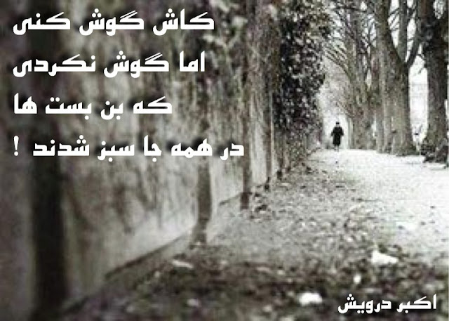 کاش گوش کنی