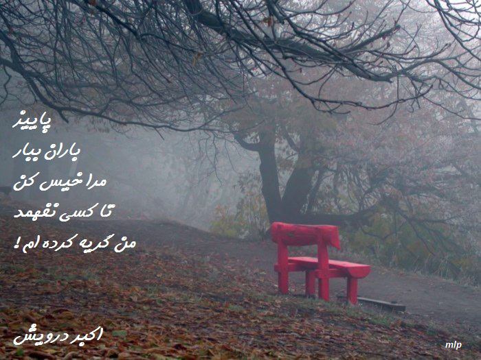 باران ببار