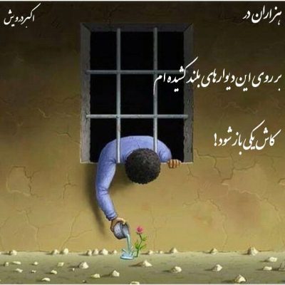 کاش یک در باز شود