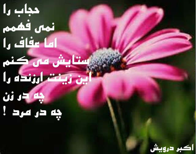 حجاب و عفاف
