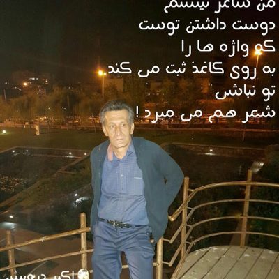 من شاعر نیستم