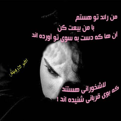 من رائد تو هستم