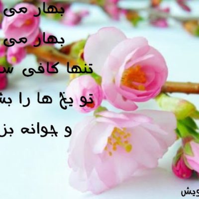بهار می شوم
