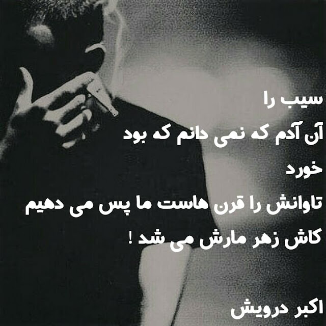 کاش زهر مارش می شد