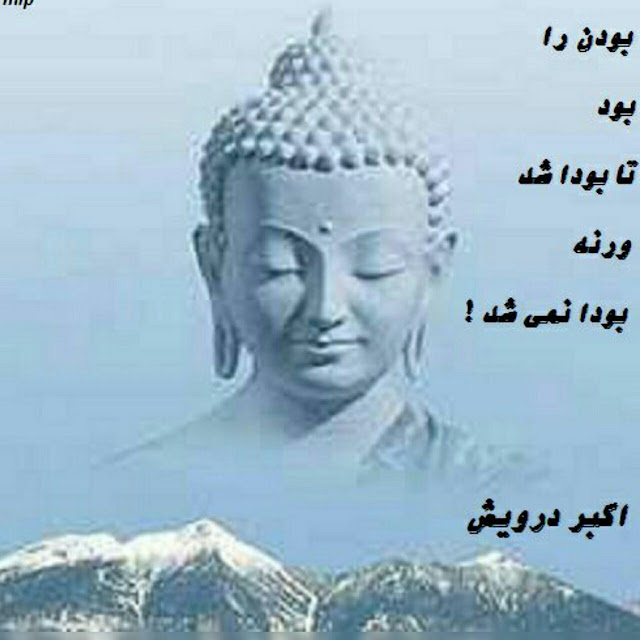 تا بودا شد