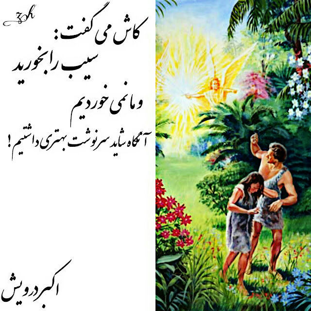 کاش می گفت سیب را بخورید