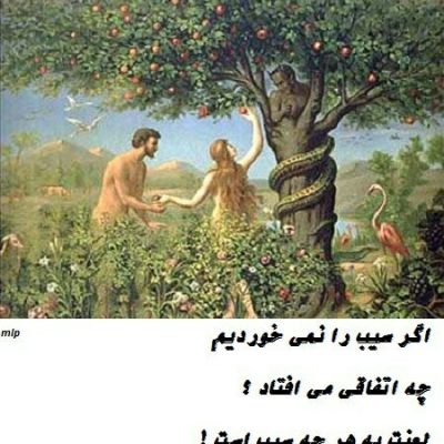 اگر سیب را نمی خوردیم