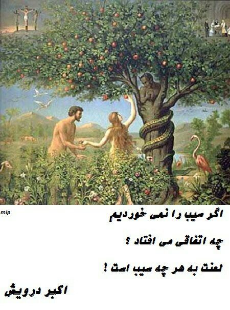 اگر سیب را نمی خوردیم