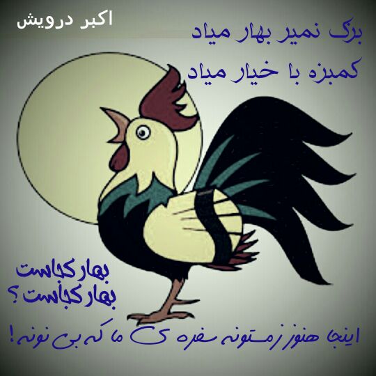 بزک نمیر بهار میاد
