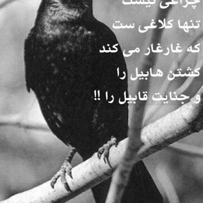تنها کلاغی ست که غار غار می کند
