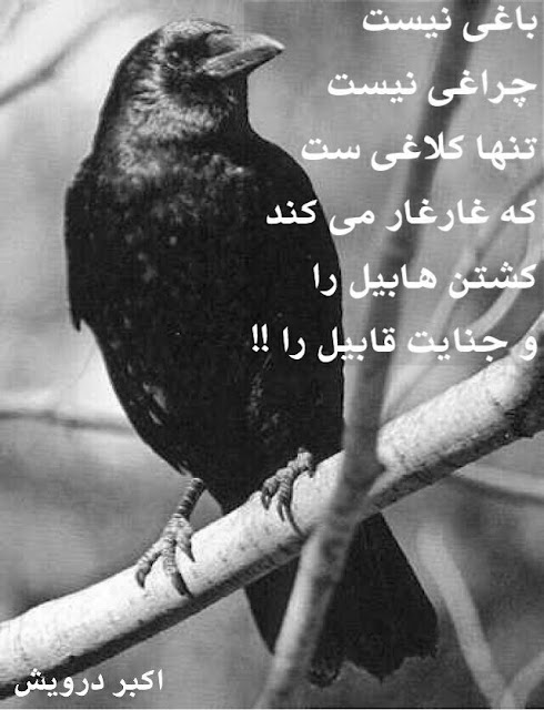 تنها کلاغی ست که غار غار می کند