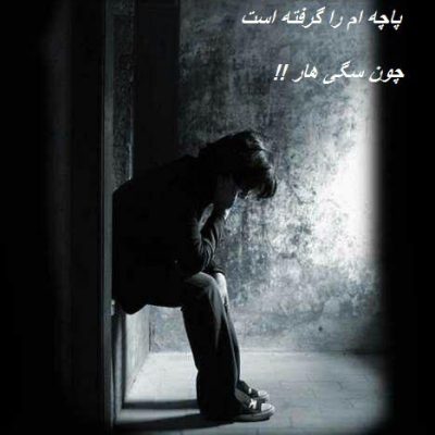 چون سگی هار
