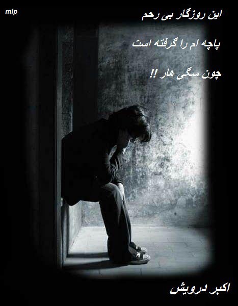 چون سگی هار