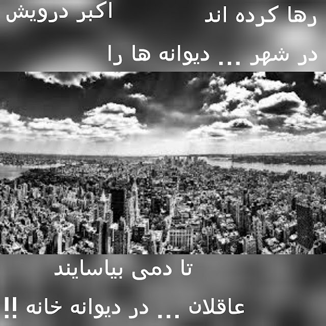 رها کرده اند در شهر