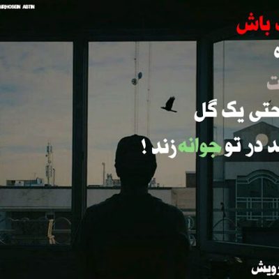سنگ باش