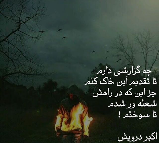 گزارش به خاک