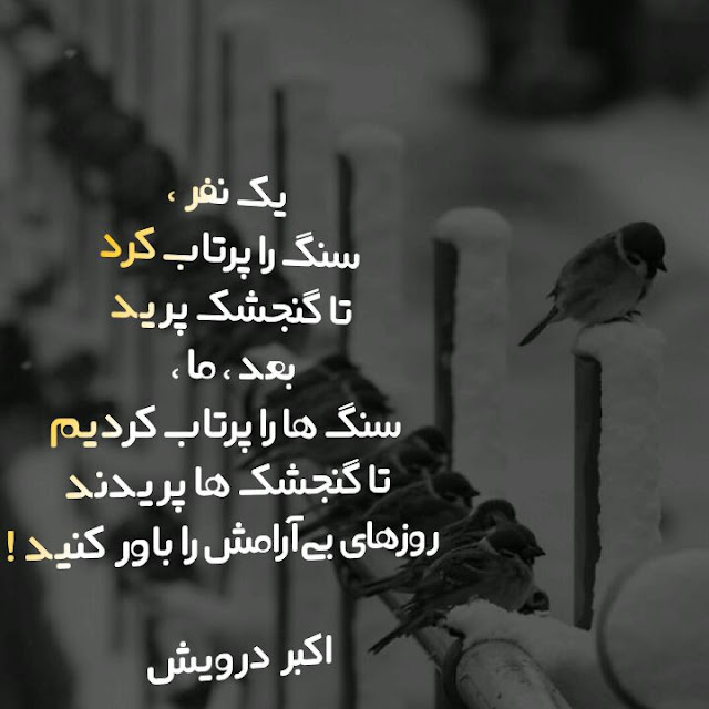 روزهای بی آرامش را باور کنیم