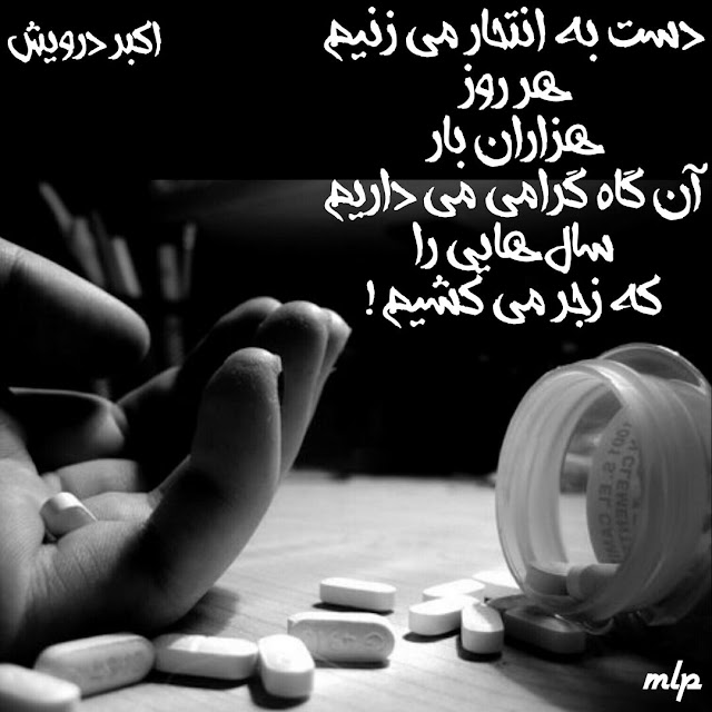 هر روز هزاران بار
