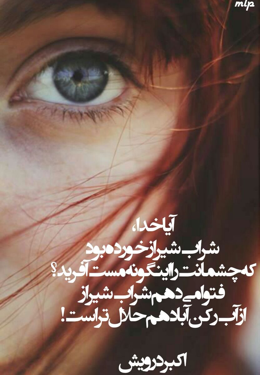 فتوا می دهم که شراب شیراز