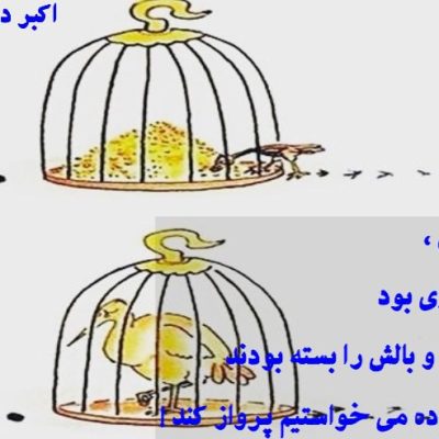 بی هوده می خواستیم پرواز کند