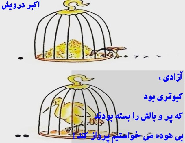 بی هوده می خواستیم پرواز کند