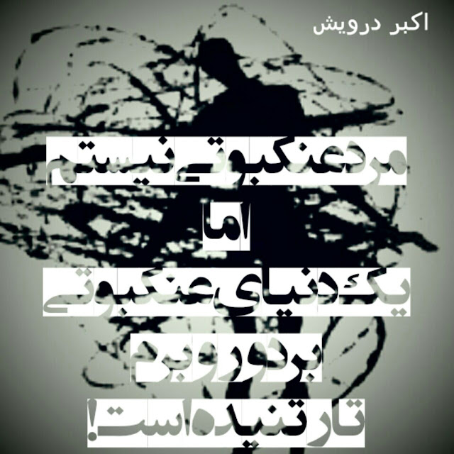 دنیای عنکبوتی