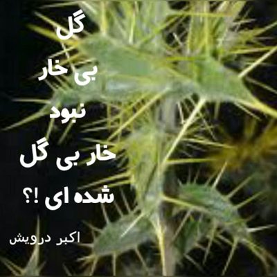 خار بی گل شده ای ؟