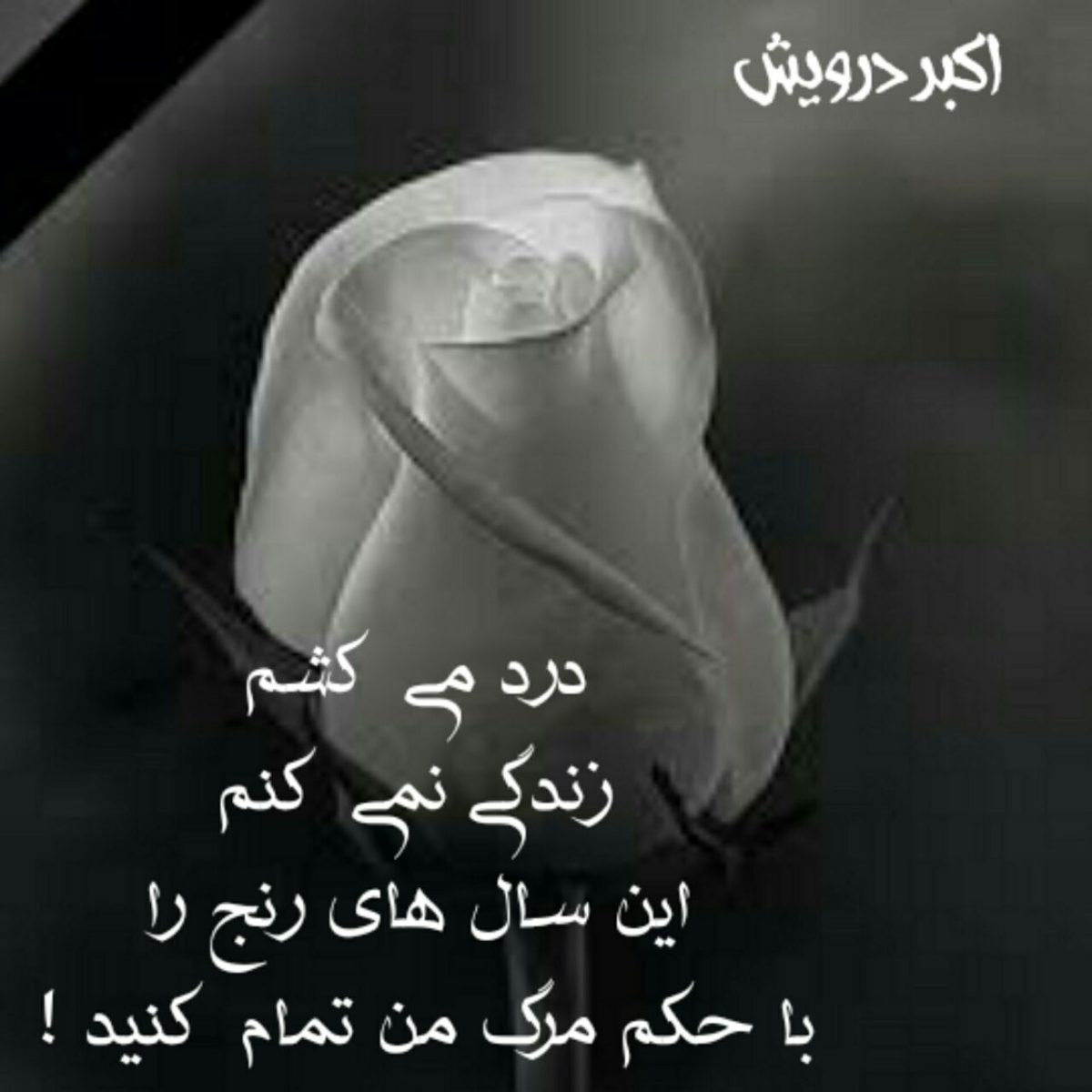 غمگنانه