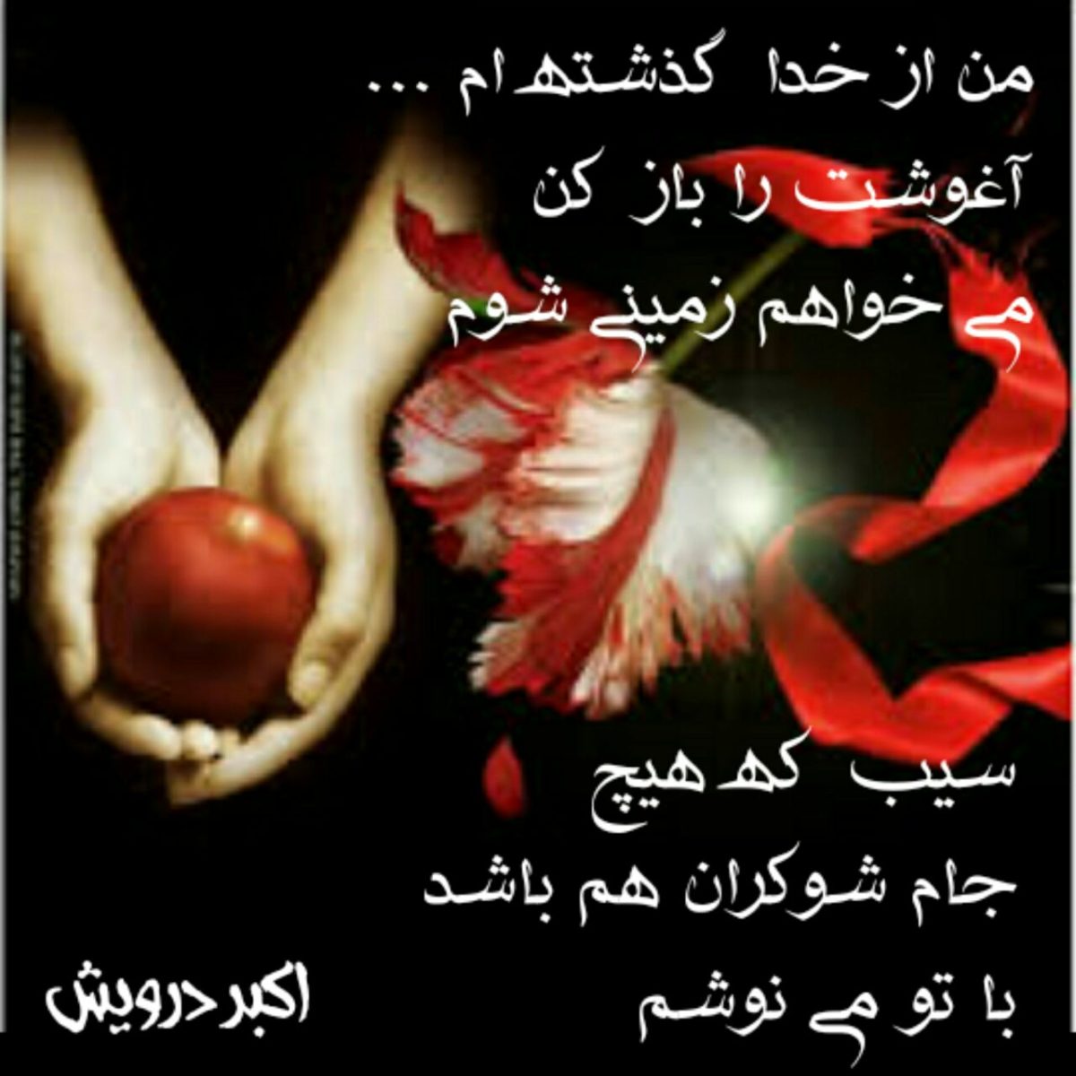 آغوشت را باز کن