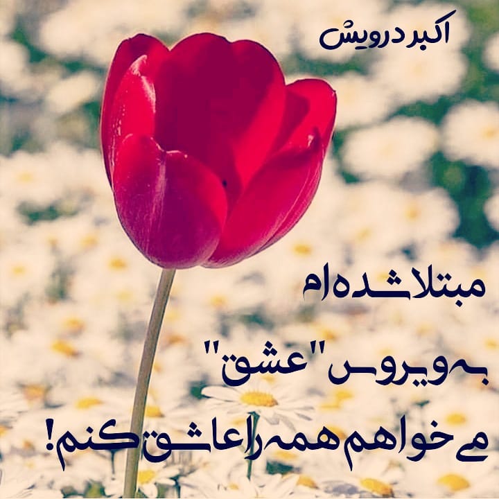 ویروس عشق