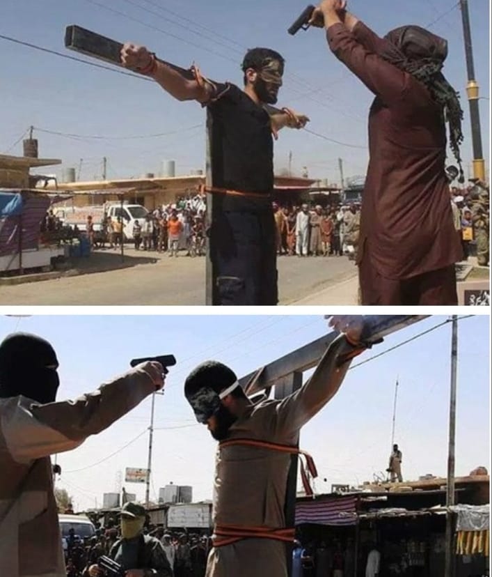 دردی برای تمام فصول !!