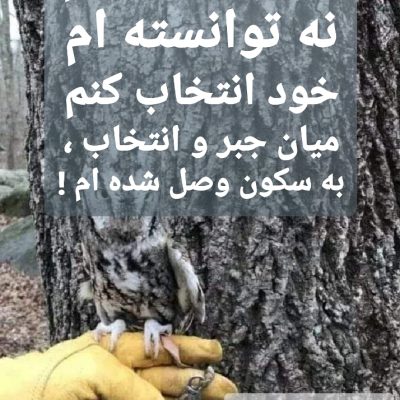 به سکون وصل شده ام !