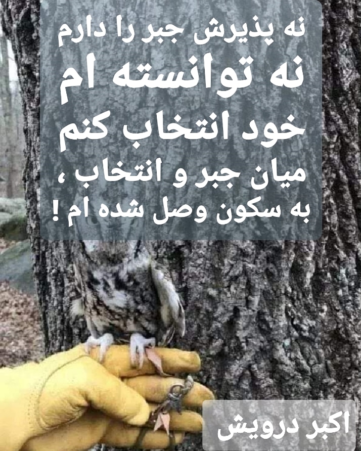 به سکون وصل شده ام !