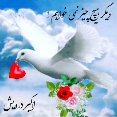 دیگر هیچ چیز نمی خواهم