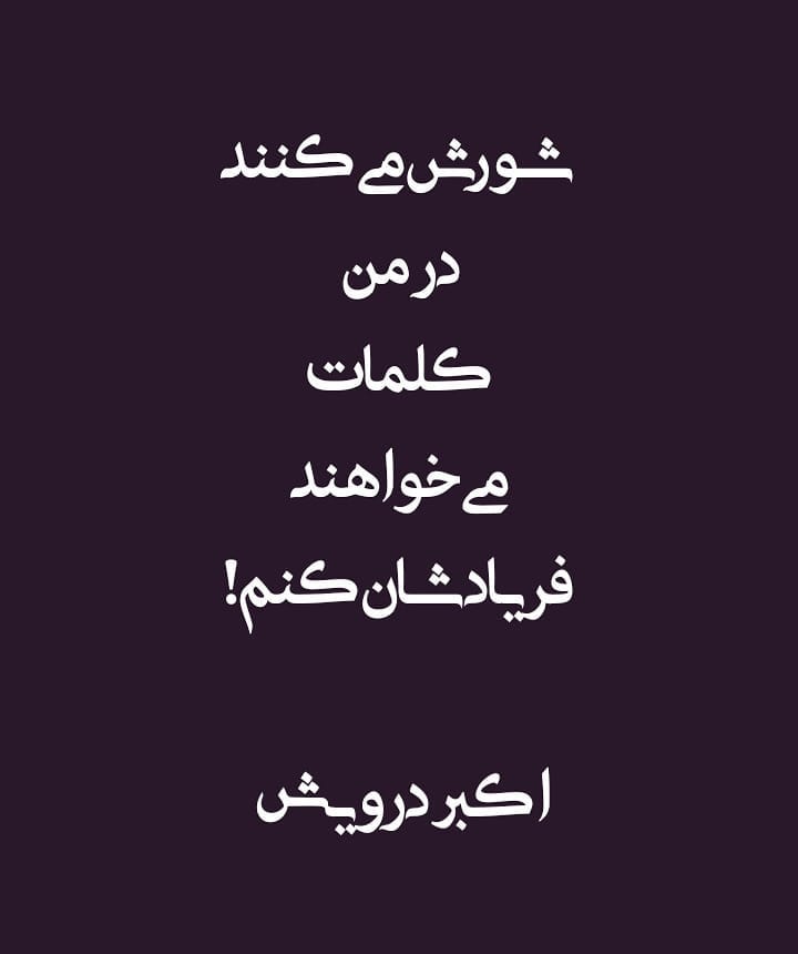 شورش می کنند