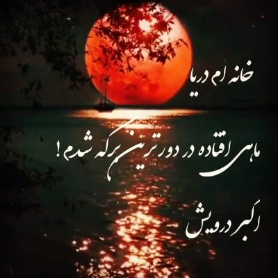ماهی افتاده در دورترین برکه شدم