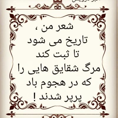 شعر من تاریخ می شود