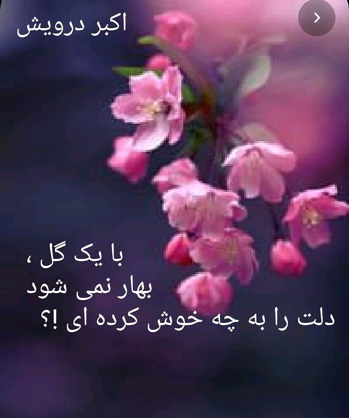 دلت را به چه خوش کرده ای ؟ !؟
