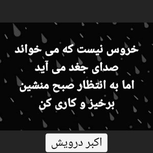 برخیز و کاری کن