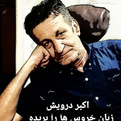 زبان خروس ها را بریده اند