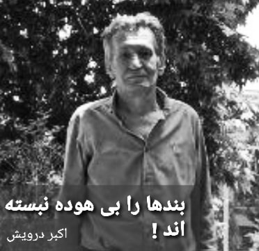 بندها را بی هوده نبسته اند