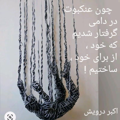 چون عنکبوت