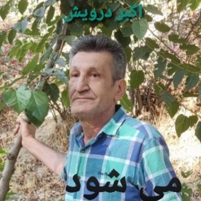 می شود