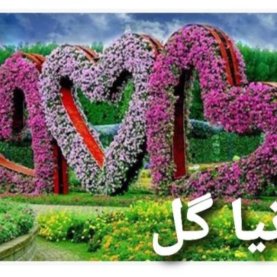 دنیا گل