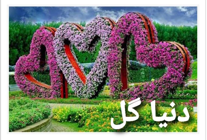 دنیا گل