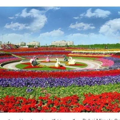 وقتی باغچه مال ماست